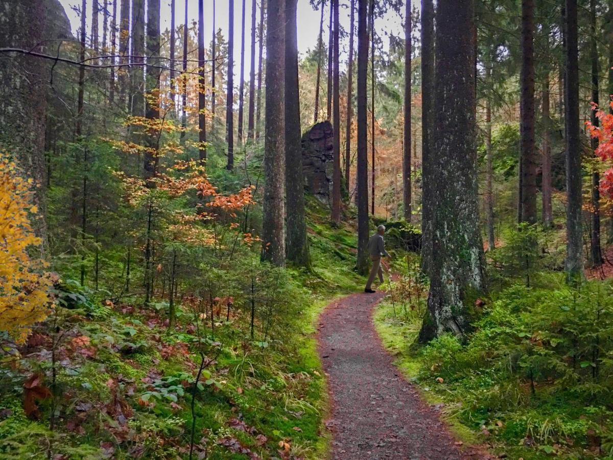 באד סקסה Harz Hotel Und Gaestehaus Am Bornweg מראה חיצוני תמונה